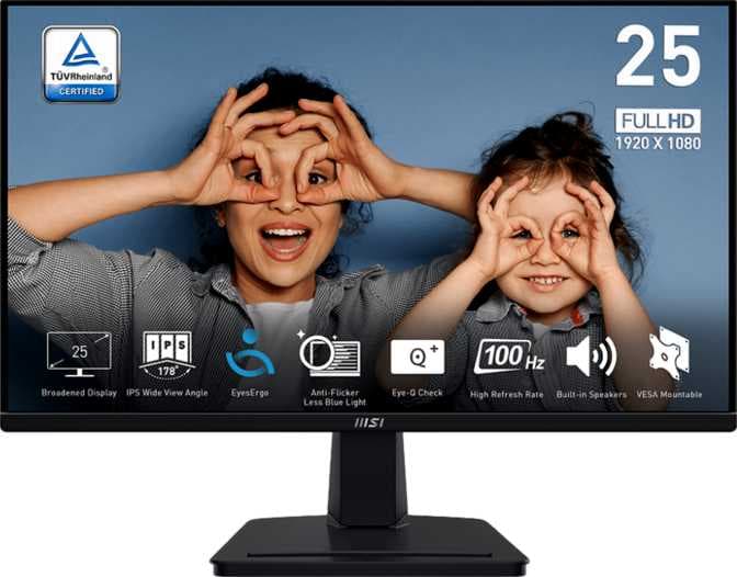 MSI PRO MP251 25"