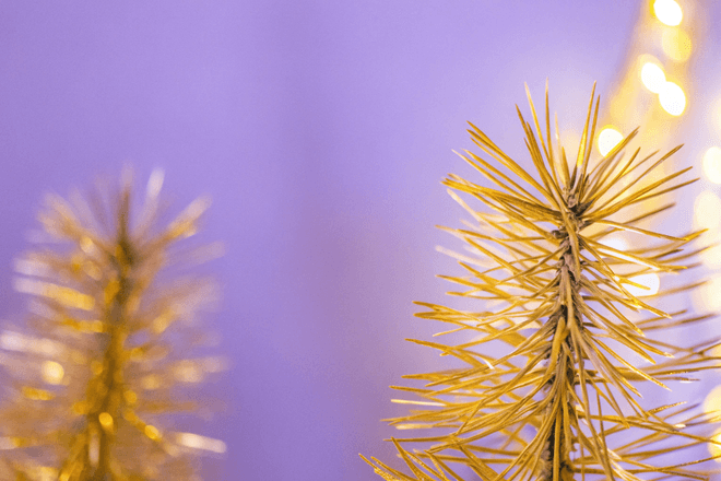 Деревья светятся под грозовыми облаками: подтверждение столетней гипотезы