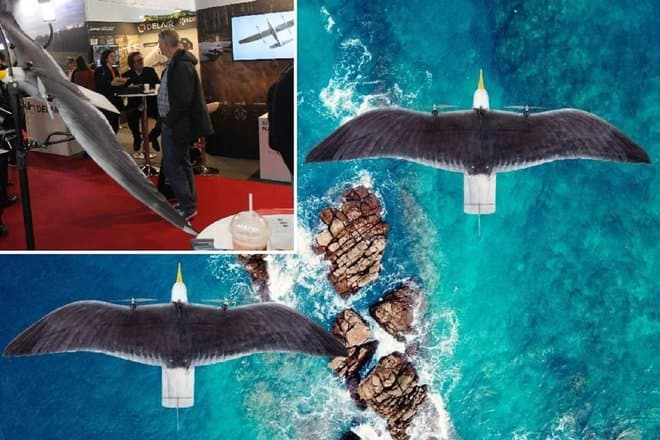 Представлен дрон для скрытого наблюдения, имитирующий птицу